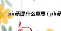 pin碼是什么意思(pln碼是什么意思)