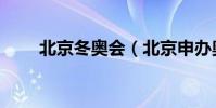 北京冬奧會(北京申辦奧運會成功)