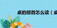 桌的部首怎么讀(桌的部首)
