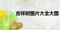 吉祥樹圖片大全大圖(吉祥樹)