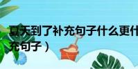 夏天到了補充句子什么更什么了(夏天到了補充句子)