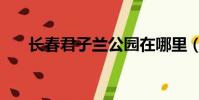長春君子蘭公園在哪里(長春君子蘭)