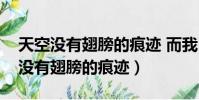 天空沒有翅膀的痕跡 而我已飛過意思(天空沒有翅膀的痕跡)