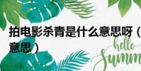 拍電影殺青是什么意思呀(拍電影殺青是什么意思)