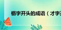 櫪字開頭的成語(才字開頭的成語)