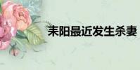 耒陽最近發生殺妻(耒陽)