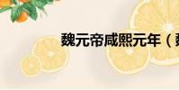 魏元帝咸熙元年(魏元帝)