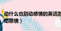 動什么也別動感情的英語怎么說(動什么也別動感情)