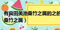 有良田美池桑竹之屬的之的用法(有良田美池桑竹之屬)