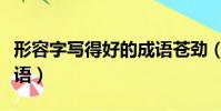 形容字寫得好的成語蒼勁(形容字寫得好的成語)