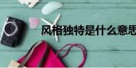 風格獨特是什么意思(風格)