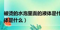 被燙的水泡里面的液體是什么(水泡里面的液體是什么)