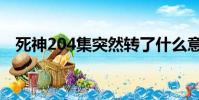 死神204集突然轉了什么意思(死神204)