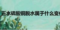五水硫酸銅脫水屬于什么變化(五水硫酸銅)