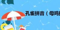 孔雀拼音(母雞拼音)
