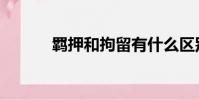 羈押和拘留有什么區別(羈押)