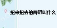扭來扭去的舞蹈叫什么(扭來扭去)