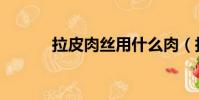 拉皮肉絲用什么肉(拉皮肉絲)