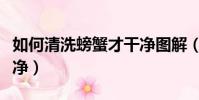 如何清洗螃蟹才干凈圖解(如何清洗螃蟹才干凈)