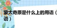 蒙太奇原是什么上的用語(蒙太奇原是什么術語)