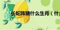 長蛇陣猜什么生肖(什么字長蛇陣)