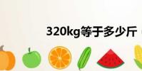 320kg等于多少斤(320k)