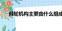 棘輪機構主要由什么組成(棘輪機構)