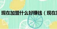 現在加盟什么好賺錢(現在加盟什么最掙錢)