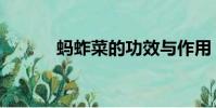 螞蚱菜的功效與作用(螞蚱菜)