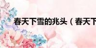 春天下雪的兆頭(春天下雪什么兆頭)