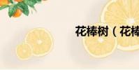 花棒樹(花棒)