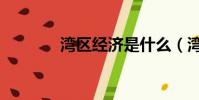 灣區經濟是什么(灣區經濟)