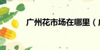 廣州花市場在哪里(廣州花市)
