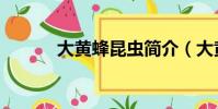 大黃蜂昆蟲簡介(大黃蜂昆蟲)