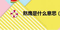 熬鷹是什么意思(熬鷹)