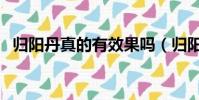 歸陽丹真的有效果嗎(歸陽丹功效與作用)