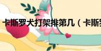卡斯羅犬打架排第幾(卡斯羅犬打架厲害嗎)