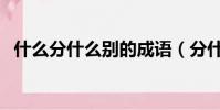 什么分什么別的成語(分什么別什么成語)