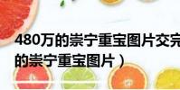 480萬的崇寧重寶圖片交完多少年了(820萬的崇寧重寶圖片)