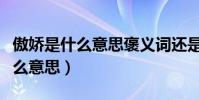 傲嬌是什么意思褒義詞還是貶義詞(傲嬌是什么意思)
