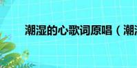 潮濕的心歌詞原唱(潮濕的心歌詞)