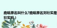 鹿晗原名叫什么?鹿晗原名劉壯實是真的嗎?(鹿晗原名叫劉壯實嗎)