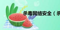 殺毒網絡安全(殺毒網)