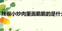 辣椒小炒肉里面脆脆的是什么(辣椒小炒肉)