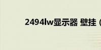 2494lw顯示器 壁掛(2494lw)