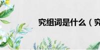 究組詞是什么(究組詞)