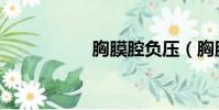 胸膜腔負壓(胸膜腔)