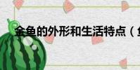 金魚的外形和生活特點(魚的生活習性)