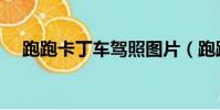 跑跑卡丁車駕照圖片(跑跑卡丁車駕照)