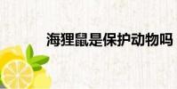 海貍鼠是保護動物嗎(海貍鼠)
